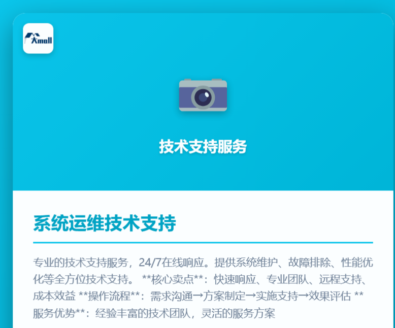 系统运维技术支持