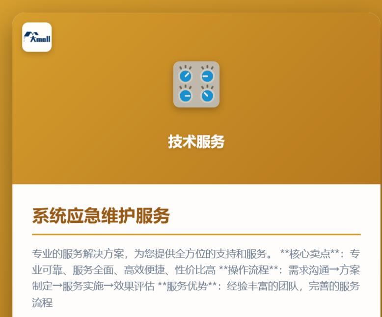 系统应急维护服务