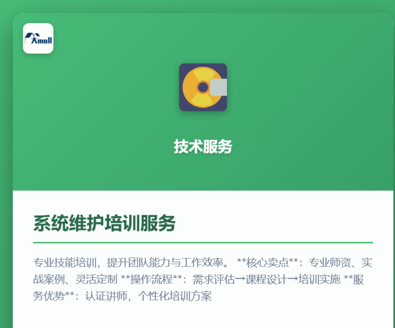 系统维护培训服务